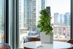 Tevatower Mini Smart Self-Watering Indoor Garden System - 3-Tier 4-Inch Planter Pot for Herbs, Flowers and Indoor Plants, Compact Smart Planter for Home Kitchen Office - Slate Grey