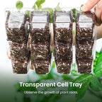 MIXC 360 Cells Seedling Starter Trays Transparent Seed Tray Grow Germination Kit with 30 Plant Lables(1.5 inch x 12 Cells per Tray, 30 Trays)