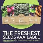 Organic Cool Weather Spring & Fall Seeds Variety Pack - 13 Individual Packs - 2026 Season - Carrots, Beets, Spinach, Broccoli and More! for Indoor & Outdoor Planting (Non-GMO, Certified Organic)