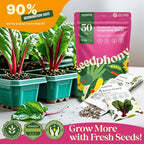 Seedphony 50 Gourmet Garden Vegetable Seeds Variety Pack - 34,455+ Non-GMO Heirloom Vegetables Seeds for Planting Indoor Outdoor: Broccoli, Carrot, Onion, Lettuce, Pepper - Gardening Seed Packets