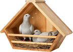 Cedar Mourning Dove Nesting Box, Oltara Wooden Dove Pigeon Bird House for Outdoors