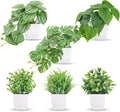 Der Rose 6 Pack Fake Plants Small Artificial Potted Plants Faux Plants for Home Office Desk Bathroom Aesthetic Farmhouse Room Decor Indoor