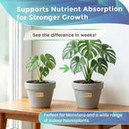 Professional Monstera Soil Potting Mix 2.2 Quarts Ready to Use, Premium Indoor Plant Soil for Monstera Plants, Peat Coco Coir Perlite Dolomite, Well Draining Dirt Monstera Made in USA