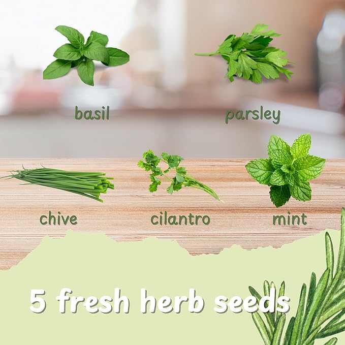 Herb Indoor Garden Kit- Unique Chrismas Herb Gardening Gift, Home Kitchen Gift for Mom, Friends, and Gardeners (Basil, Parsley, Chives, Cilantro, Mint)