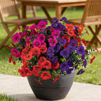 17 Inch Artificial Faux Pansy Flowers for Outdoor,Fake Pansies Flowers with Eucalyptus Leaves Fake Plants Greenery Boxwood Porch Patio Decor 6 Bundles(Red,Rose Red,Dark Purple)