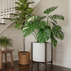 D'vine Dev Ceramic Planter with Walnut Color Stand - 14 Inch Modern Round Flower Pot with Wood Planter Holder, White, 55-B-T-1
