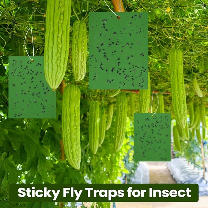 Qualirey 150 Pcs 6 x 8 Inch Sticky Traps for Plant Double Sided Sticky Trap for Gnats with Twist Ties Fly Traps for Fruit Insect Fungus Bugs Indoor Outdoor (Green)