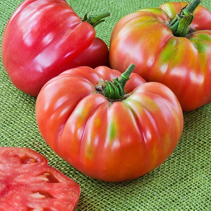 Bonnie Plants German Queen Tomato 19.3 oz. 4-pack