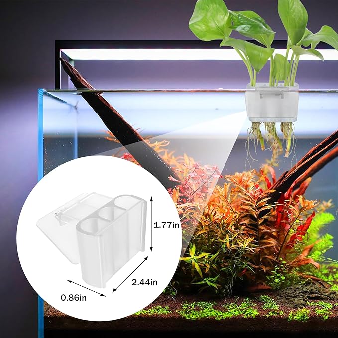 3 Holes Upgraded Aquatic Plant Cup Aquarium Plant Holder for Tank,Aquascape Accessories Decorations- White 2 Pcs