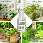 Mighty Mint Neem Oil & Peppermint Plant Nutrient Spray – Natural Leaf Shine for Indoor & Outdoor Use – Plant-Based Formula for Stronger, Healthy Plants - 16 oz (Pack of 2)