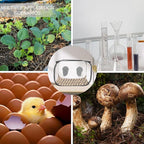 Portable Still Air Box Mycology with Pop Up Mushroom Growing Kit - Ideal for Mushroom Cultivation in Office and Mycology Enthusiasts (Black)