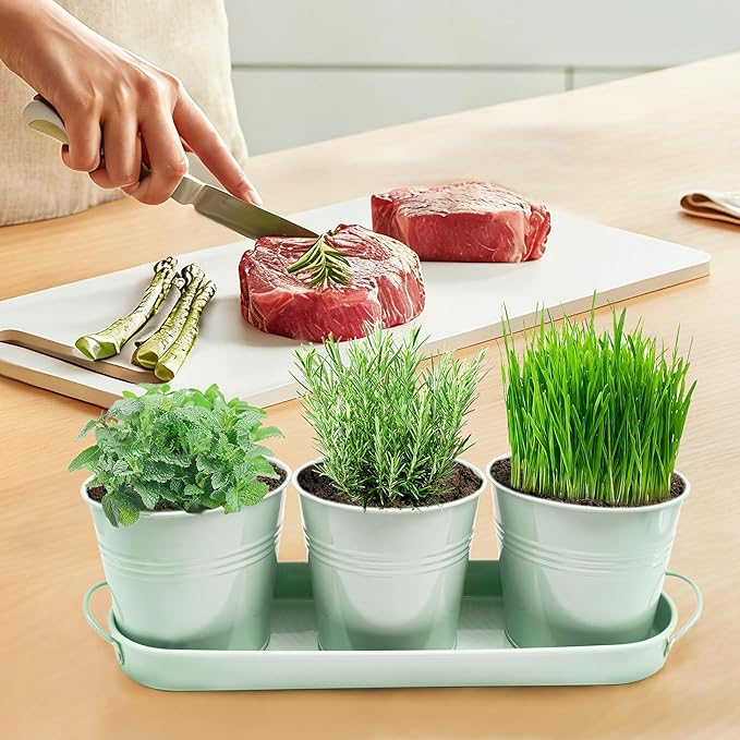 TCBWFY Indoor Herb Garden Planter Set - 3 Pack 4.7" Green Metal Plant Pots with Drainage Holes & Removable Tray - Windowsill Kitchen Counter Balcony Office Garden