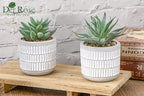 Der Rose Set of 2 Succulents Plants Artificial Fake Cactus Plants for Living Room Bathroom Bedroom Aesthetic Home Shelf Decor