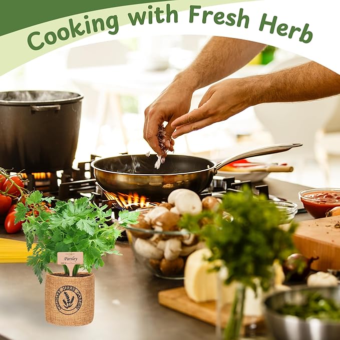 Herb Indoor Garden Kit- Unique Chrismas Herb Gardening Gift, Home Kitchen Gift for Mom, Friends, and Gardeners (Basil, Parsley, Chives, Cilantro, Mint)