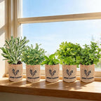 Indoor Herb Garden Starter Kit, 5 Seeds Growing into Basil, Parsley, Rosemary, Thyme, Mint, Including A Planter Box, Soil Discs & Planters with A Gift Box for Women