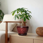 6 Inch Ceramic Pots for Plants - Indoor Plant Pots with Drainage Hole and Saucer, Decorative Planters for Outdoor Plants, Modern Planter, Living Room Decor, Gardening Gifts, Red Leopard