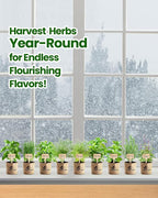 Gift for Women, Mom, Her – 9 Herb Indoor Window Garden Kit | Complete Herb Seeds Starter Set with Pots, Soil, Tools & Markers | Non-GMO Heirloom Herbs | Birthday, Housewarming, New Home, Mother's Day
