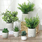 Chunful 6 Pack Small Artificial Greenery Potted Plants Indoor Mini Fake Eucalyptus Rosemary Succulents in Pulp Rustic Farmhouse Table Centerpiece for Shelf Bathroom Bedroom Kitchen Office