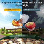 birdsnap® PAV-Bird Feeder with Camera,2K HD with 32GB Card, AI Identify Smart Bird House Cam Solar Panel,Live Stream,Motion Detection,Auto Record Video for Backyard Outdoors,Ideal Gift for Bird Lover