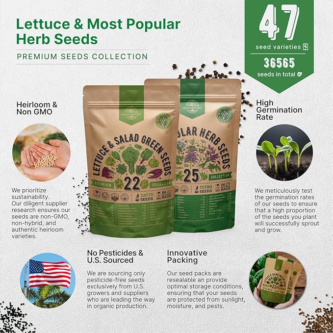 Organo Republic 22 Lettuce & Salad Greens Seeds & 25 Most Popular Herb Seeds Variety Pack Bundle, 36,400+ Non-GMO Heirloom Garden Seeds for Planting Vegetables & Herbs for Indoor & Outdoor Gardening