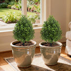 Bdor 22" Artificial Boxwood Topiary Ball Trees, Outdoor Artificial Plant Set of 2 with Ground Stakes, UV Resistant Simulated Evergreen Fake Shrub for Indoor/Outdoor Lawns, Garden Decor