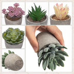 Set of 6 Artificial Succulents Potted - Realistic Mini Fake Cactus Plants in Paper Pulp Pots, 2-4'' Mixed Sizes for Farmhouse Shelf, Bathroom, Coatrack Shelf, Bedroom Indoor(Classic Style)