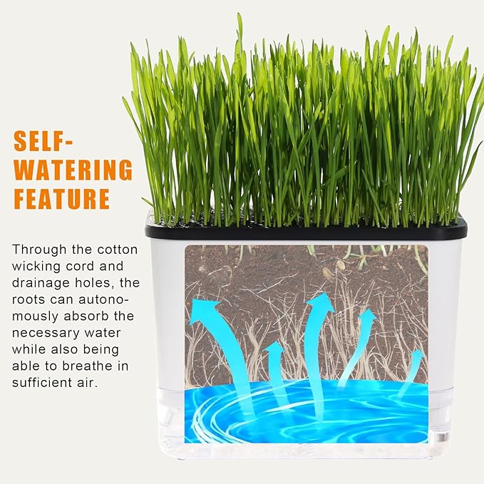 Self-Watering Cat Grass Planter (no Seed Included), with Drainage Holes and Anti-Digging Design, Wheat Grass Growing Pot, Cat Grass for Indoor Cats Pets (1)