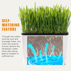 Self-Watering Cat Grass Planter (no Seed Included), with Drainage Holes and Anti-Digging Design, Wheat Grass Growing Pot, Cat Grass for Indoor Cats Pets (1)