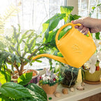 Plastic Watering Can - for Indoor and Outdoor Plant - 1/2 Gallon - Orange
