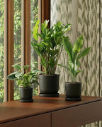 Bamworld Plant Pots Planters for Indoor Plants Flower Pots with Drainage Holes 5/6/7.5 Inch Set of 3 Plastic Planters for Outdoor Plants Garden Pots for Office Room Home Decor Black