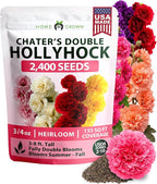 HOME GROWN Hollyhock Chaters Double Mix 2400 Seeds – Holly Hocks Seeds for Planting Spring 2026, Double Flower Hollyhock Seeds, Flower Seeds Perennial Outdoor Garden (Alcea rosea)