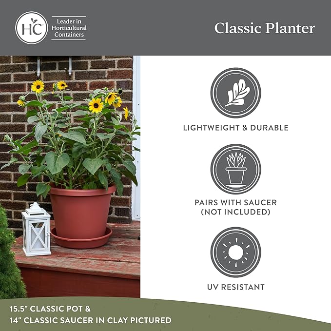 The HC Companies Classic Round Plastic Plant Pot w/Rolled Rim - Lightweight & UV Resistant Flower Pot for Herbs & More - Outdoor & Indoor Plant Pots w/Drainage (7 inch Chocolate, Pack of 1)