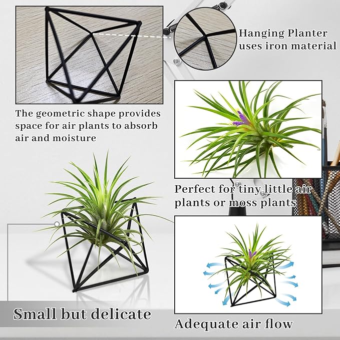 Hanging Air Plants Holders, 2Pcs Metal Air Plant Hangers for S-M Sized Air Plants, Himmeli Geometric Planter to Add a Sense of Style and Relaxation for Home Office Wedding (Black, 2pcs)