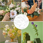 Plastic Flower Stems Tubes, 30 Pcs Clear Pointed End Floral Tubes Posy Picks for DIY Cake Decoration Flower Arrangement Craftsmanship (3 Sizes Large, Medium, Small)