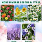 Meekear 5 Kit - Growing into Shasta Daisy, Cornflower, Sunflower, Zinnia, Lavender for Indoor Outdoor Garden DIY Gifts