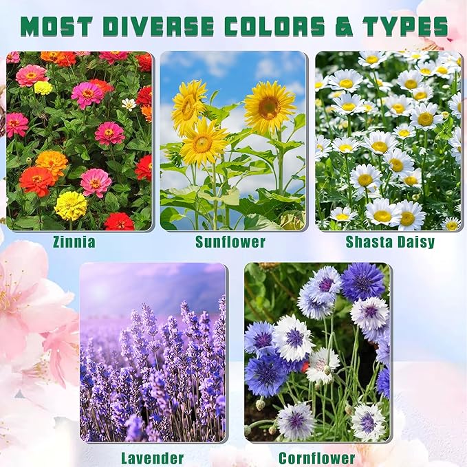 Meekear 5 Kit - Growing into Shasta Daisy, Cornflower, Sunflower, Zinnia, Lavender for Indoor Outdoor Garden DIY Gifts