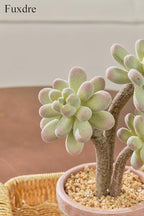 2-Pack Artificial Succulent Plants in Vintage Plastic Pots - Waterproof Fake Succulents Decor for Home, Office, Desk - Low Maintenance Indoor Plants for Bathroom, Shelf, Table Decor