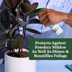 Miracle-Gro Plant Care Leaf Protect and Shine, 4-in-1 Insecticide, Miticide, Fungicide and Leaf Shine Spray for Indoor Plants, 8 fl. oz., 2-Pack