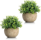 Velener 2Pcs Mini Artificial Boxwood Topiary Faux Plants Indoor- Small Fake Plants Decor Magnolia Home Office Desk Cubicle Farmhouse Kitchen Bookshelf Bedroom Bathroom Decor, Aloe Vera Zen Garden