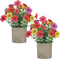 2 Pack Small Fake Plants Potted Artificial Plants Artificial Flowers Potted Faux Flower Daisy with Eucalyptus Leaves for Home Decor Office Room Farmhouse Indoor Table Bathroom Decor（Colorful）