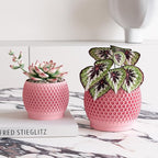 Plant Pots, Modern 3D Printed Honeycomb Planters for Indoor Plants, 4.7/6 Inch Cherry Pink Decorative Flower Pot for Office Desktop, Bookshelf & Home Decor, Lightweight & Durable.