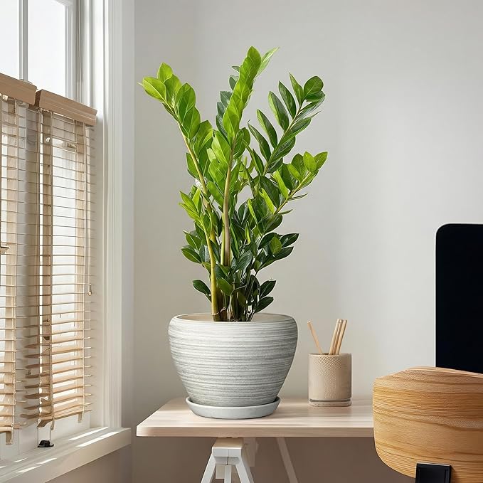 Ceramic Plant Pots Indoor - 10 Inch Planter with Drainage Hole and Saucer, Modern Planters for Indoor Outdoor Plants, Large Flower Pots, Bedroom Decor, Gardening Gifts, Textured Grey