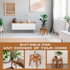 Demigo Indoor Plant Stand, Acacia Wooden Decorative Plant Shelf with Spill-Proof Tray, Stable 8” Tall Flower Holder for Heavy Pots, Gardening Display for Decor Living Room Patio - Natural Brown