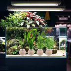 4 PCS Aquatic Plants Fixed Ring Set, Anti-Floating Ceramic for Fixing Water Plants Fish Tank Landscaping Ornaments Aquarium Decoration (White)
