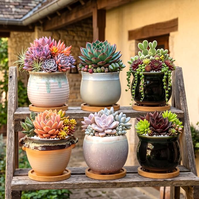 3.5 Inch Succulent Pot with Drainage,Planting/Flower Pots,Small Planter for Mini Plant Ceramic Flowing Glaze Base Serial Set with Holes