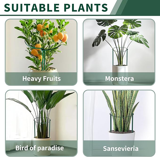 6 Pack Peony Cages and Supports, 14" (W) x 32"(H) Plant Support, Heavy-Duty Metal Plant Support Stakes, Plant Stakes for Outdoor & Indoor Plants, Perfect for Flowers and Vegetable