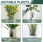 6 Pack Peony Cages and Supports, 14" (W) x 32"(H) Plant Support, Heavy-Duty Metal Plant Support Stakes, Plant Stakes for Outdoor & Indoor Plants, Perfect for Flowers and Vegetable