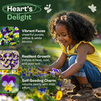 SVI 1500 Helen Mount Johnny Jump Up Seeds (Viola Tricolor) – Johnny-Jump-Up Wildflower Seed Packets, Violet Viola Edible Flowers – Flower Seeds for Outdoor Garden, Containers, Flower Beds
