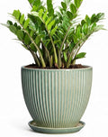 Ceramic Flower Pots, 10 Inch Plant Pot for Indoor Plants, Modern Round Planters with Drainage Hole and Saucer, Decorative Pots for Plants Indoor, Garden Home Decor, Plant Lover Gifts, Green