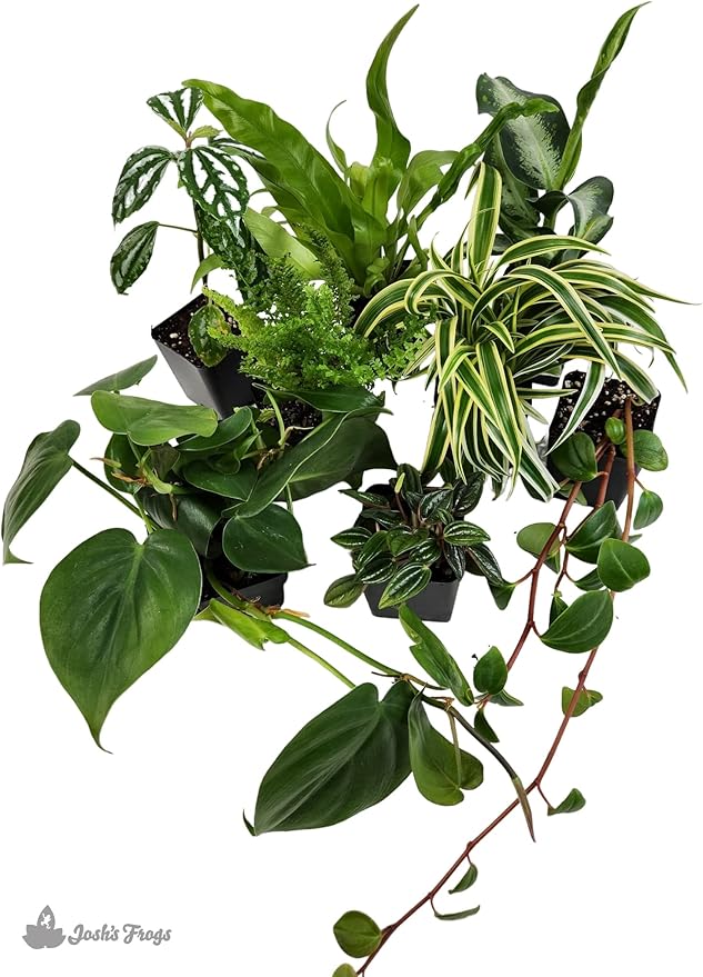 Josh's Frogs Dart Frog Vivarium Bioactive Plant Kits (20 Gallon)